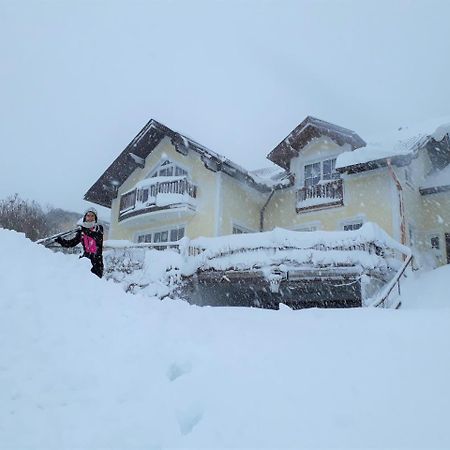 Ferienwohnung Nahe Fuschlsee, Hof Bei Salzburg Bagian luar foto