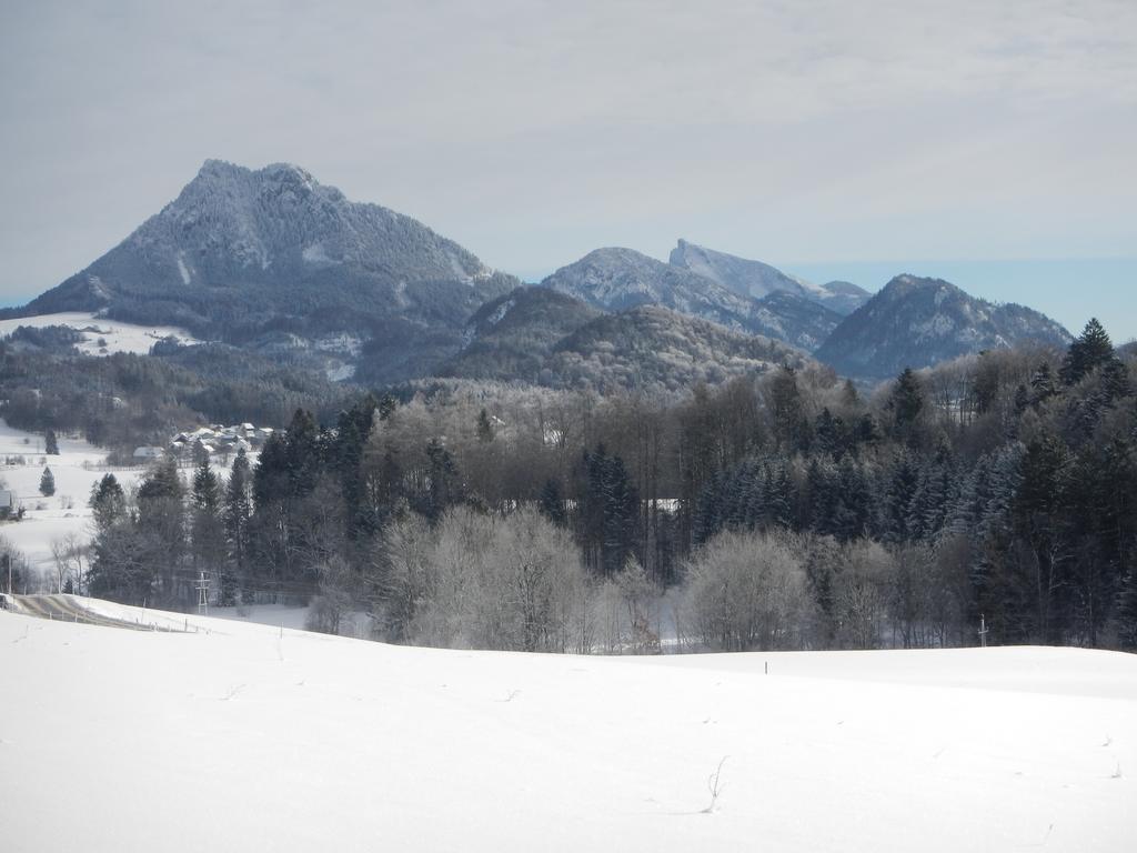 Ferienwohnung Nahe Fuschlsee, Hof Bei Salzburg Bagian luar foto