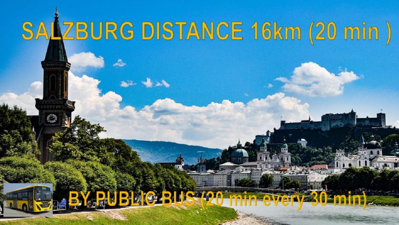 Ferienwohnung Nahe Fuschlsee, Hof Bei Salzburg Bagian luar foto